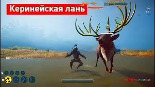 Керинейская лань в Assassin's creed: Odyssey