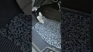 #газельфермер