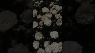 Как вам? ?/10