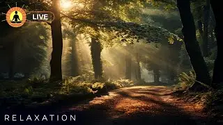 This live video has finished. To view our latest live stream, click the link below
