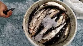 VID 20210608 130334