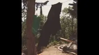 Тишина