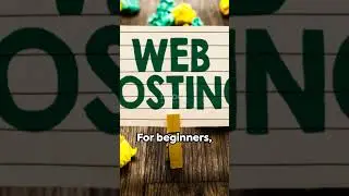 Web Hosting 101 A Quick Guide 2024 