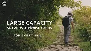 1TB microSD cards for every need | Photography, Nintendo Switch, GoPro | TEAMGROUP