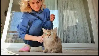 ПЕРЕСТАЮ  выкладывать видео - ПОЧЕМУ ✅️  ТУРЦИЯ ИЗМИР январь 2023