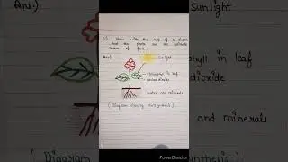 Class 7 science chapter 1 question answer | Nutrition in plants chapter question answers #biology