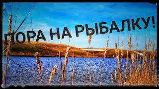 Когда ловить окуня на спиннинг?