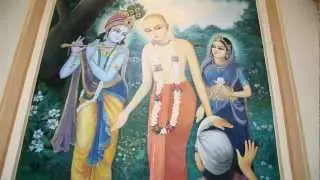 BACK TO DHAMA / VRINDAVAN