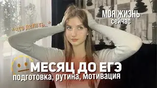 ВЛИЯНИЕ 11 КЛАССА на мою ЖИЗНЬ / про подготовку к ЕГЭ, мотивацию и возвращение на ютуб