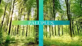 Palucart è ora Paluplus