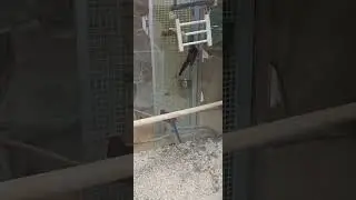 Зоомагазин