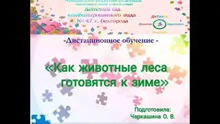 Как животные леса готовятся к зиме. Черкашина О.В.