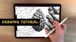 IPad Pro drawing tutorial - pine cone drawing without reference!