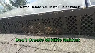 Solar Panel Warning Before Install | Don't Forget About Critters | Squirrels & Birds