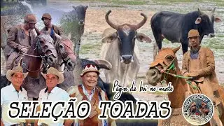 3° Parte Seleção Toadas - Vaqueiros do Gibão Pesado, Pegar de Boi de Boi no Mato 🐂🐎
