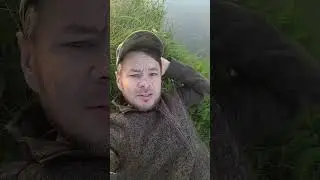 Лето лето ты куда 🌊🏖️🏝️🌞🏊⛵🦀🦀🌊🐚