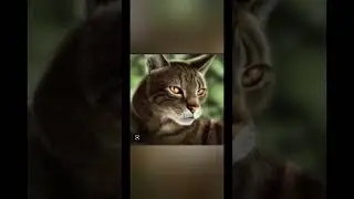 Клип режесёр | коты воители персонажи первого цикла.