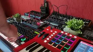 This Dreadbox Typhon sounds so good!