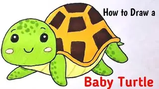 How to Draw a Baby Turtle | Drawing for Kids
