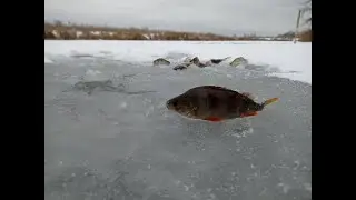 ПРОВАЛИЛСЯ ПОД ЛЕД!!!!! Первый лед, 
