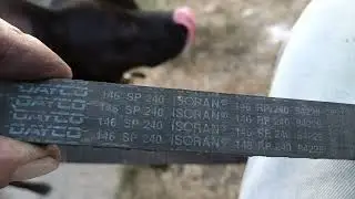 31 августа 2023 г.