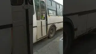 паз 4234 м-т 134 #видео #хочуврек #автобус