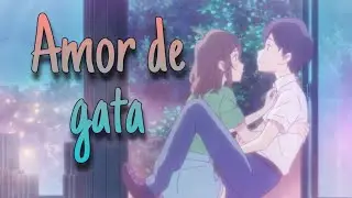 Amor de Gata Movie