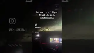 #jimcorbett #RaatDiGedi TigerSearch #TowardsDhikalaZone