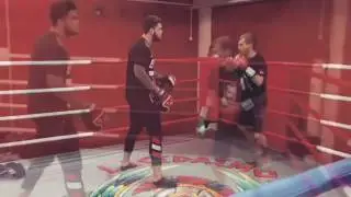 Ярослав Ремыга тренер в спортклубе LESTA