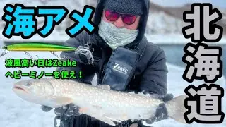 【海アメ】波の高い日は漁港エリア！ヘビーミノーが威力を発揮！ミドルレンジで狙う海アメ、海サクラ