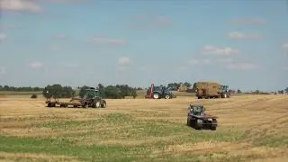 Żniwa 2015 / Prasowanie i zwożenie beli