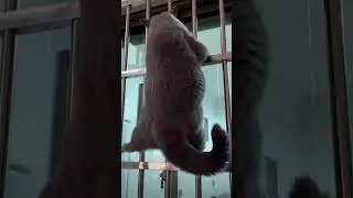 #побег