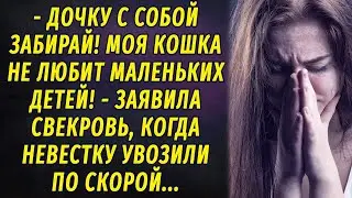 - Бери дочь с собой в больницу! Моя кошка не любит маленьких детей! – заявила свекровь РАССКАЗ