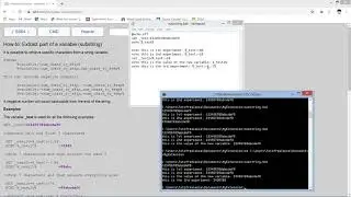 Batch - Extracting A Substring From A String!