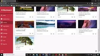 How to access BB(Blackboard)?