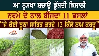 ਆਹ ਨੁਸਖਾ ਬਚਾਊ ਡੁੱਬਦੀ ਕਿਸਾਨੀ |ਨਰਮੇ ਦੇ ਨਾਲ ਬੀਜਦਾ 11 ਫਸਲਾਂ।