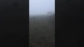 Удачно порыбачили