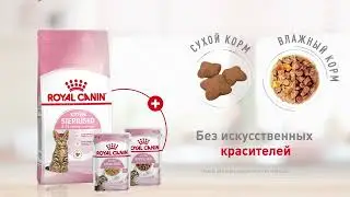 Royal Canin Kitten Sterilised
