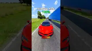Chance of survival with different cars 🤣