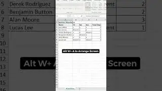 How to set-up dual screen in Excel. 