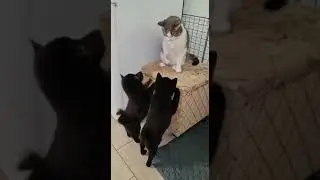 Наши свободные шиппи❤️