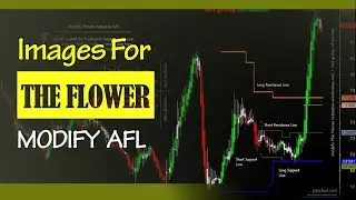 12: Modify The Flower For Amibroker (AFL)