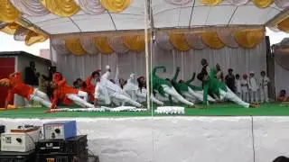 Petrotic dance ...chak de .jai ho.vande matrem by vicky dance classs