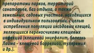 Акарицидная обработка от клещей