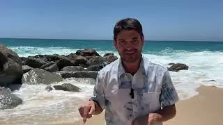 Estamos sesgados por la realidad que no vemos