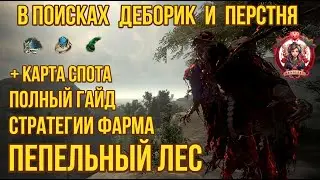 [BDO] 👻 ПЕПЕЛЬНЫЙ ЛЕС / РАЗБОР СПОТА И МЕХАНИК ФАРМА / ДЕБОРИКА И ПЕРСТЕНЬ / КАРТА СПОТА 