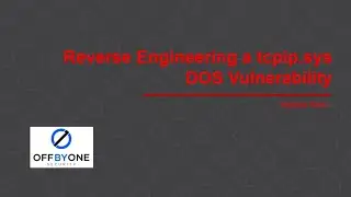 Reverse Engineering a tcpip.sys DOS Vulnerability