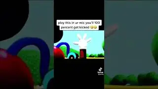 DONT PUT THIS IN UR MIC
