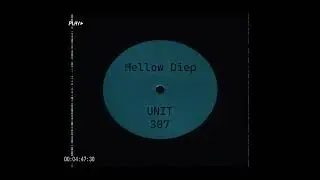 Mellow Diep - Unit 307 ( DDR 01 )