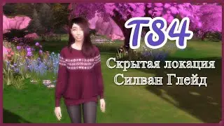 TS 4 Обзор скрытой локации #2 (Силван Глейд)